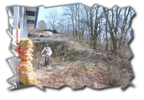 Neue Abfahrt MTB Arena